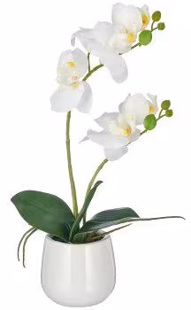 6er-Set Phalaenopsis White Grace &ndash; edle wei&szlig;e Real-Touch Orchideen im Keramiktopf f&uuml;r stilvolle R&auml;ume
