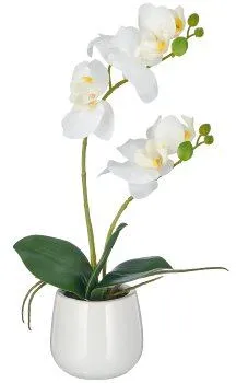 6er-Set Phalaenopsis White Grace &ndash; edle wei&szlig;e Real-Touch Orchideen im Keramiktopf f&uuml;r stilvolle R&auml;ume