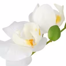 6er-Set Phalaenopsis White Grace &ndash; edle wei&szlig;e Real-Touch Orchideen im Keramiktopf f&uuml;r stilvolle R&auml;ume
