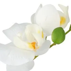 6er-Set Phalaenopsis White Grace &ndash; edle wei&szlig;e Real-Touch Orchideen im Keramiktopf f&uuml;r stilvolle R&auml;ume