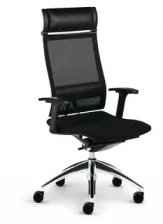 Die optional bestellbare Lordosenst&uuml;tze gibt Ihrer Wirbels&auml;ule mehr Halt