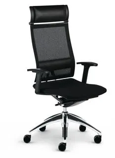 Die optional bestellbare Lordosenst&uuml;tze gibt Ihrer Wirbels&auml;ule mehr Halt