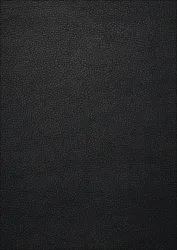 Schwarz (+230,91 &euro;)