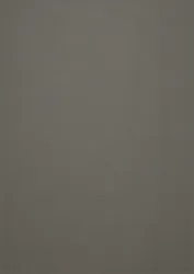 Elefant (+230,91 &euro;)