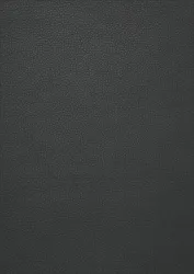 Carbon (+230,91 &euro;)