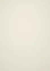 Weiß (+230,91 &euro;)