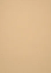 Sand (+230,91 &euro;)