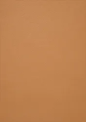 Curry (+230,91 &euro;)