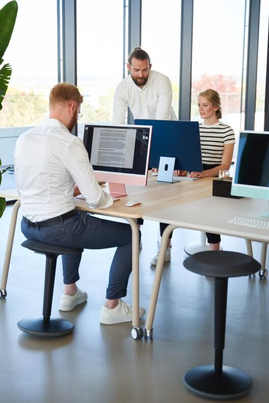 Höhenverstellbare Stehhilfe Sedus se:fit