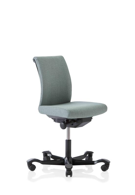 HAG Creed 6003 mittlere Rückenlehne