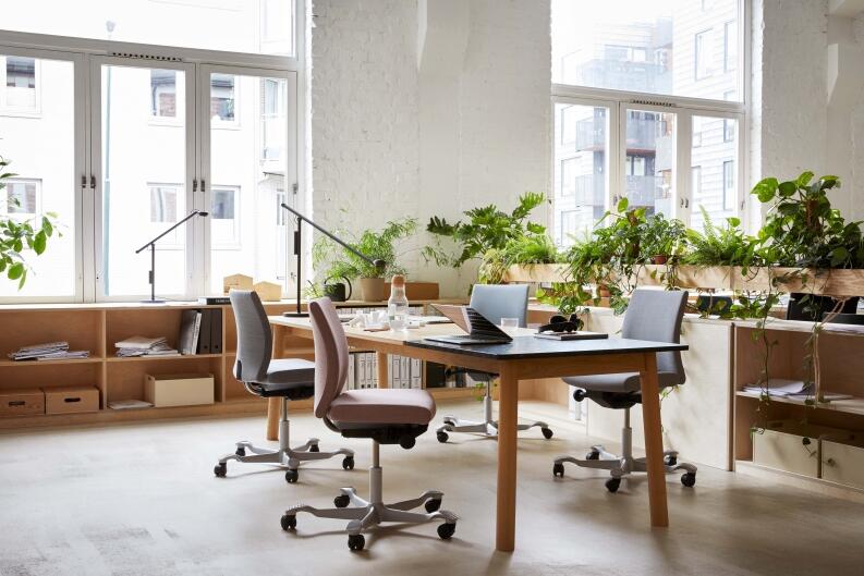 HAG Creed 6002 Rückseite Vollpolster