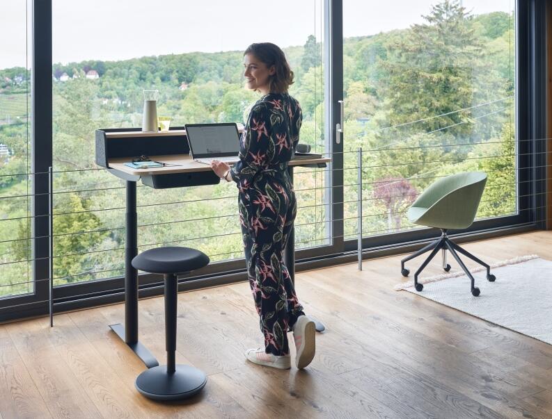 Unterschublade und Sedus se:desk home