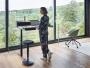 Sedus Unterbauschublade für Schreibtische - Unterschublade und Sedus se:desk home